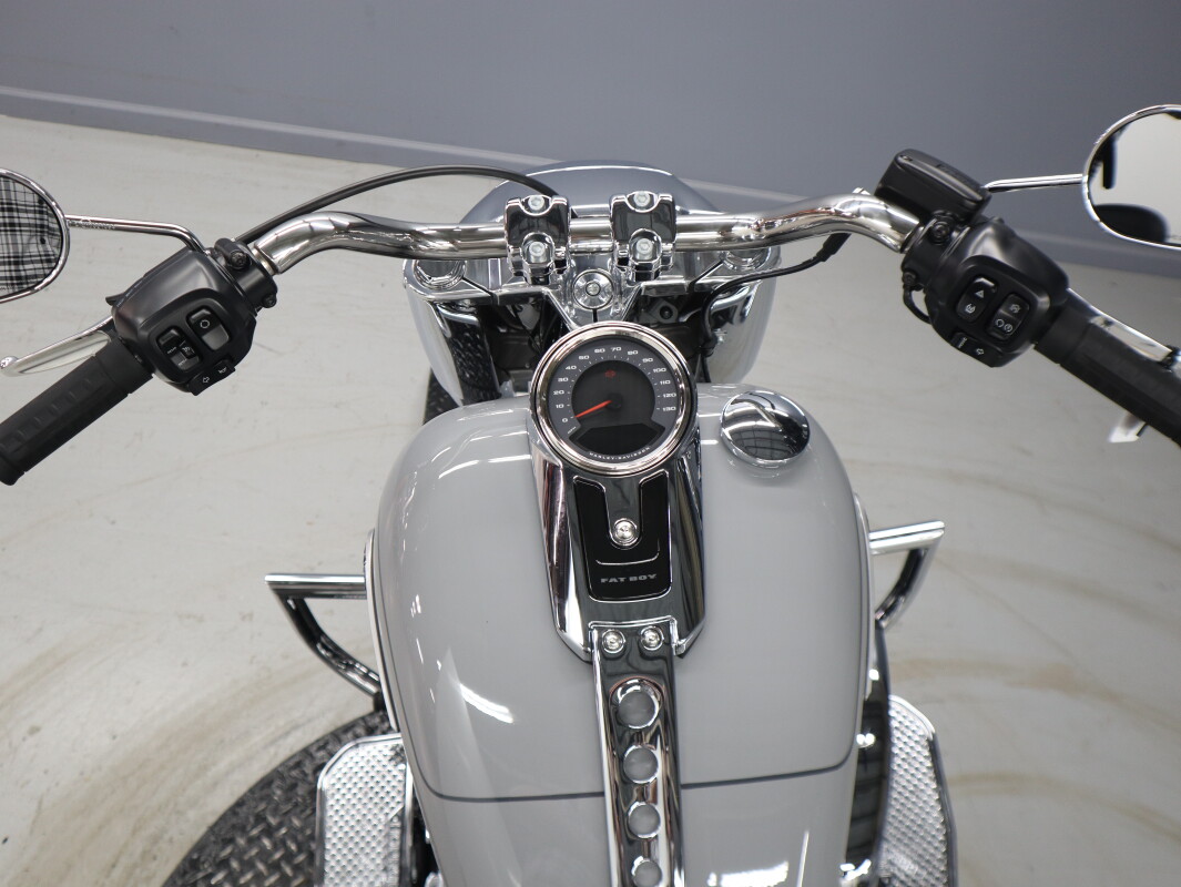 2025 Harley-Davidson Fat Boy